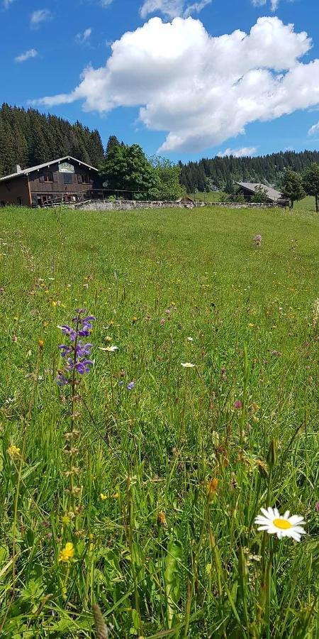 Gite Les Lanfiannes Thorens-Glieres Екстер'єр фото