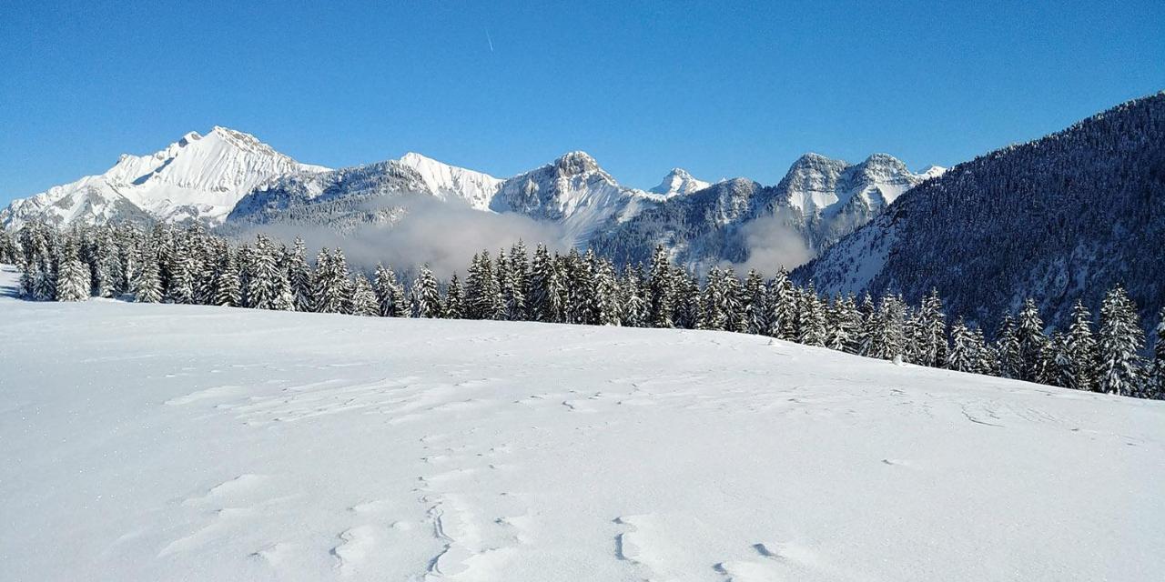 Gite Les Lanfiannes Thorens-Glieres Екстер'єр фото