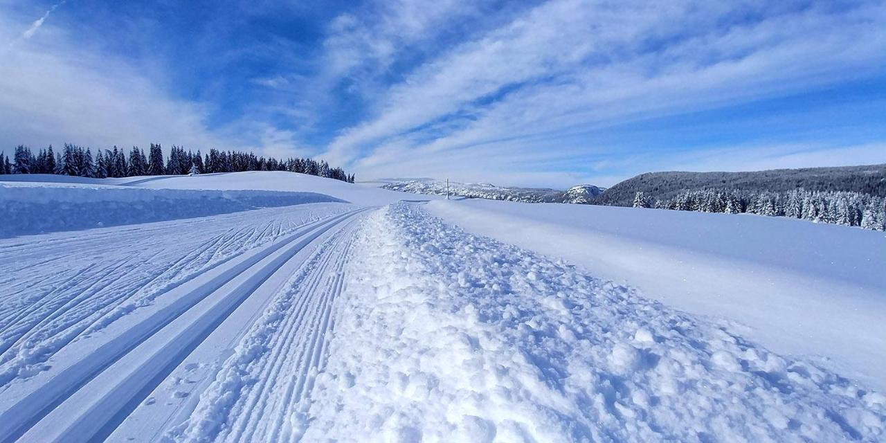Gite Les Lanfiannes Thorens-Glieres Екстер'єр фото