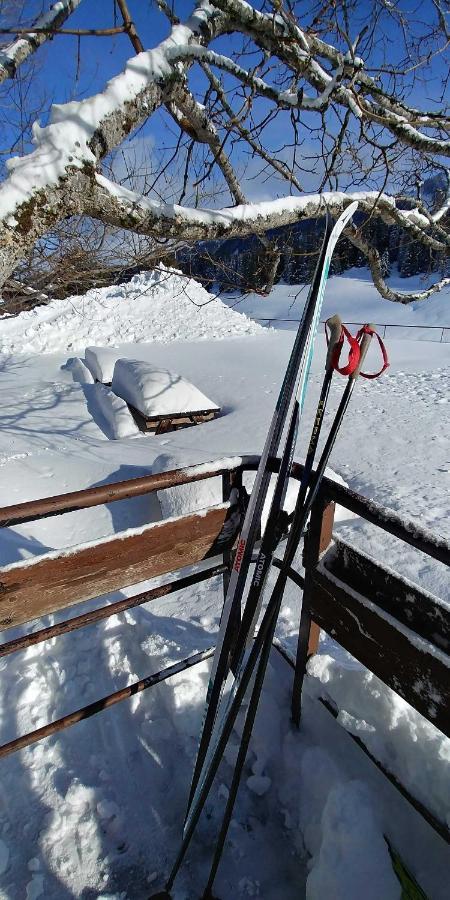 Gite Les Lanfiannes Thorens-Glieres Екстер'єр фото