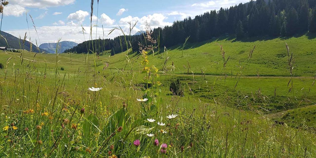 Gite Les Lanfiannes Thorens-Glieres Екстер'єр фото