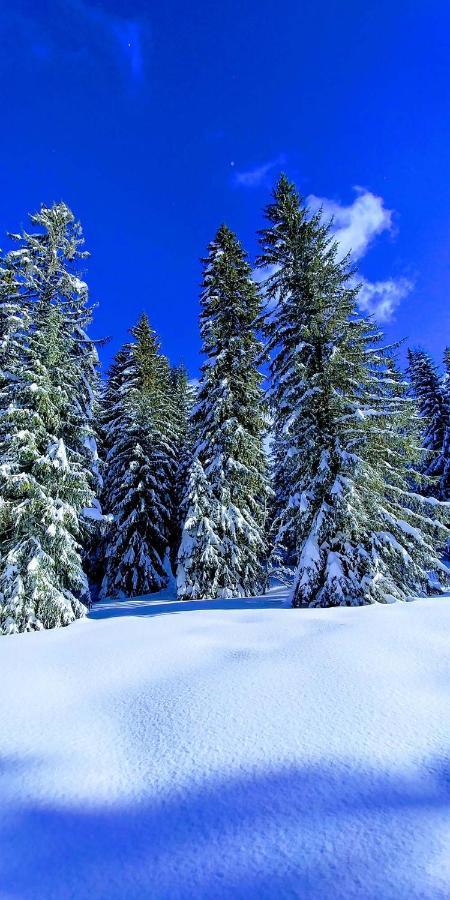 Gite Les Lanfiannes Thorens-Glieres Екстер'єр фото