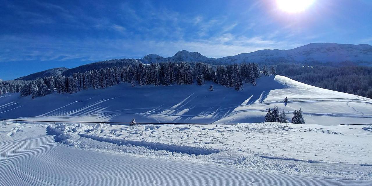 Gite Les Lanfiannes Thorens-Glieres Екстер'єр фото