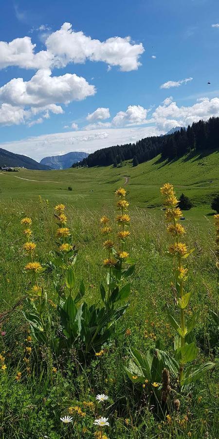 Gite Les Lanfiannes Thorens-Glieres Екстер'єр фото