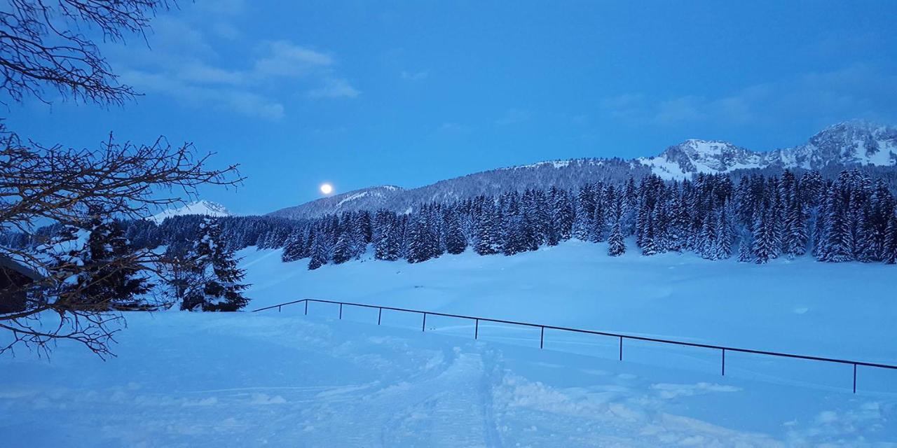 Gite Les Lanfiannes Thorens-Glieres Екстер'єр фото