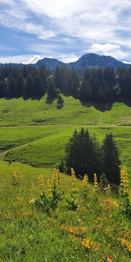 Gite Les Lanfiannes Thorens-Glieres Екстер'єр фото